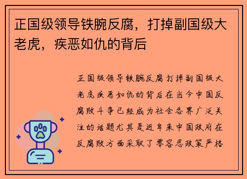 正国级领导铁腕反腐，打掉副国级大老虎，疾恶如仇的背后